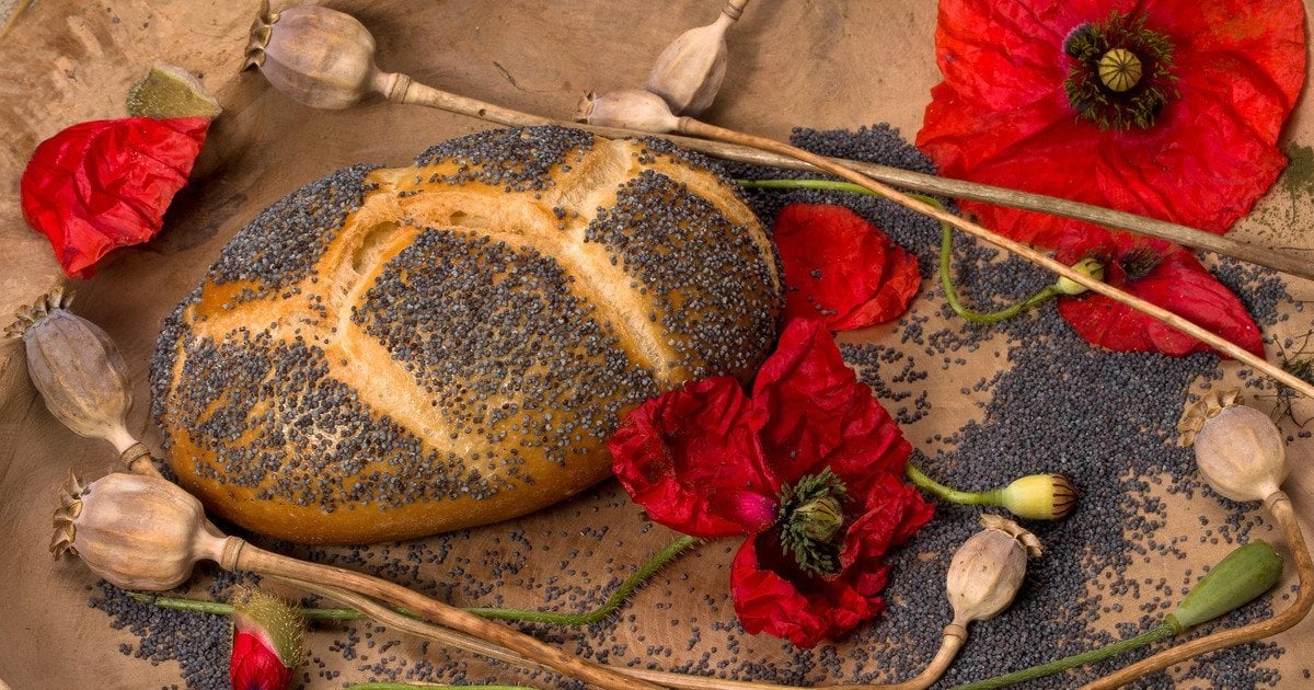Випічка з маком. Випічка з маком.