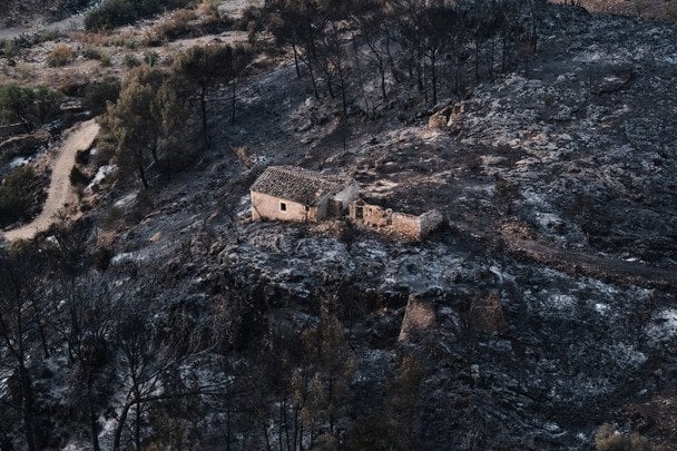 Вогонь охопив понад 3,2 тис. гектарів у провінції Альмерія / © Associated Press