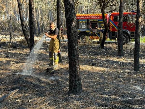 Українські пожежники вирушили до Франції для боротьби з великою лісовою пожежею 10