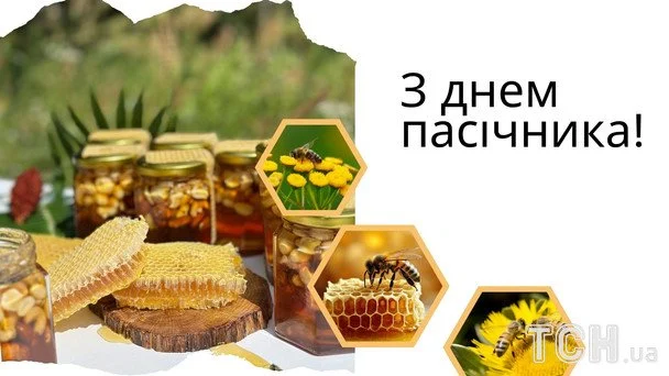 День пасічника 2026: найліпші вітання, сердечні побажання, листівки, зображення та вірші 6 Листівки з Днем пасічника / © ТСН