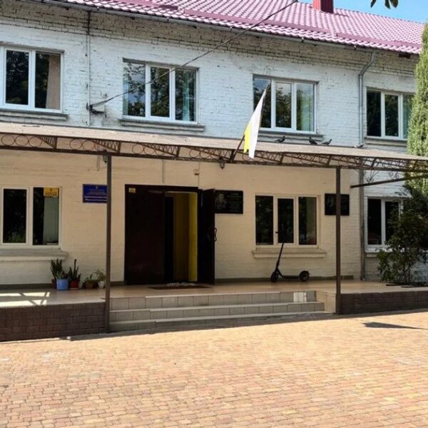 «Деб**», «д**н», «конч****»: гучний скандал у ліцеї на Житомирщині — вчительку підозрюють у цькуванні