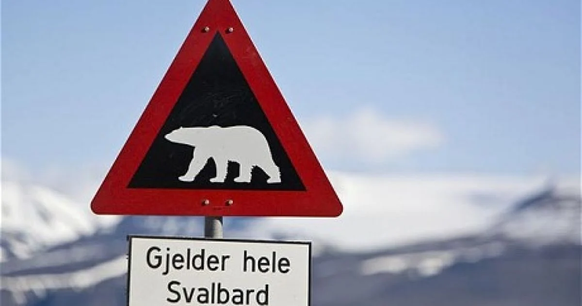 Warning sign in Spitsbergen Warning sign in Spitsbergen