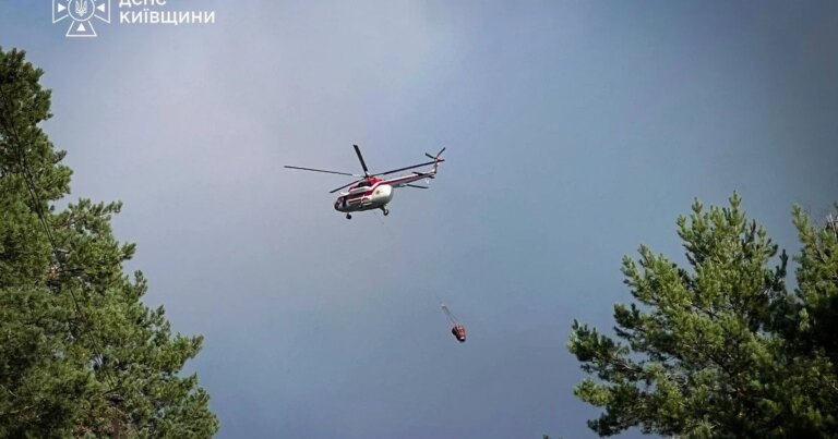 На околицях Києва зайнялися величезні ділянки лісу: рятувальники залучили авіацію (знімки) 7