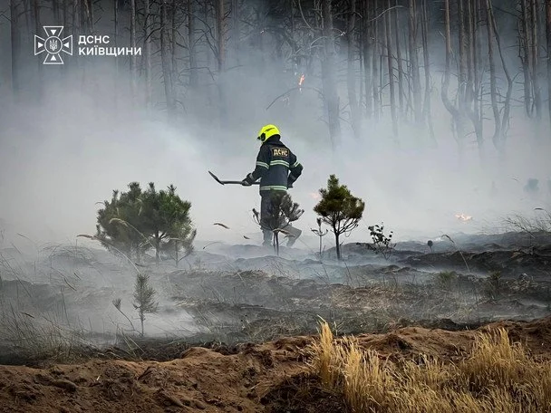 Пожежа під Києвом / © ДСНС