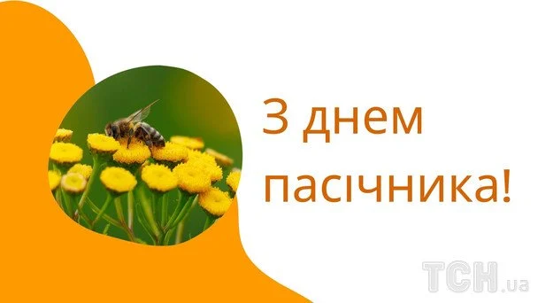 День пасічника 2026: найліпші вітання, сердечні побажання, листівки, зображення та вірші 8 Листівки з Днем пасічника / © ТСН