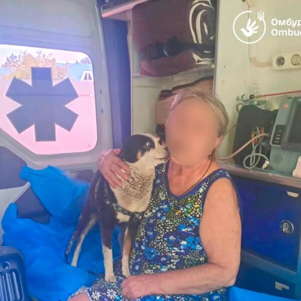 З окупованих земель вивезли 23 українців, серед них 11-річний хлопчик, який потребує інсулінотерапії ➜ ZMINA