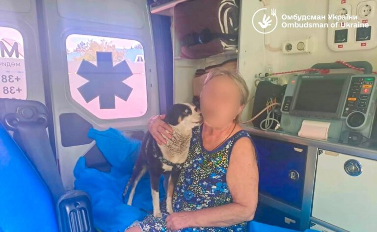 З окупованих земель вивезли 23 українців, серед них 11-річний хлопчик, який потребує інсулінотерапії ➜ ZMINA 18 З окупованих земель вивезли 23 українців, серед них 11-річний хлопчик, який потребує інсулінотерапії ➜ ZMINA 20
