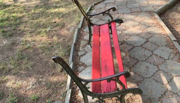На Закарпатті в "Артеку" розпочали розслідування після звернень батьків з Вишневого. 3 На Закарпатті в "Артеку" розпочали розслідування після звернень батьків з Вишневого. 3