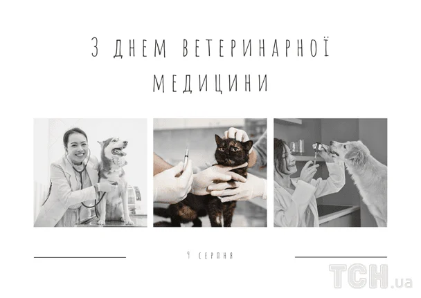Привітання з Днем ветеринара 2026: чудові побажання прозою, віршами та власними словами 5 Листівки з Днем ветеринара / © ТСН