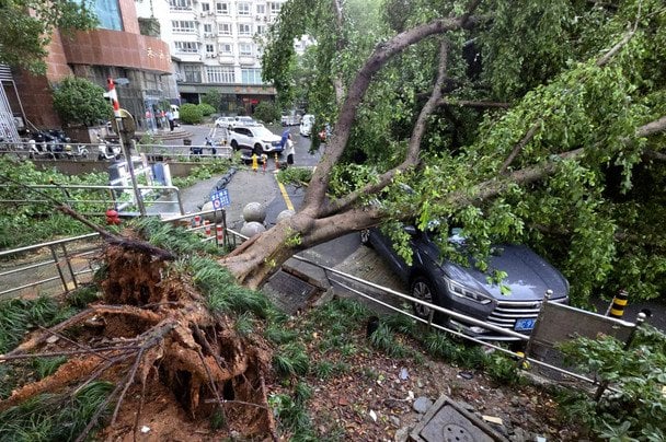 Наслідки негоди / © Associated Press
