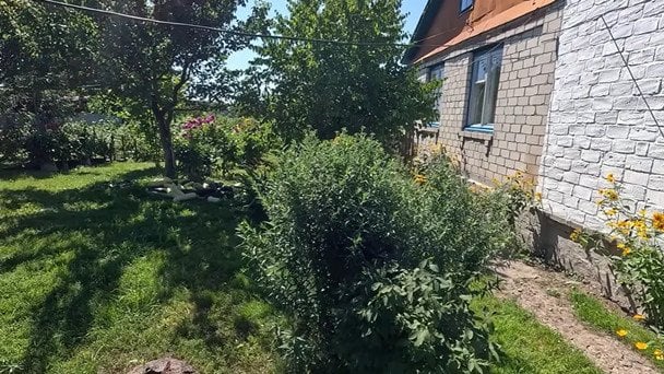 За 40 тисяч гривень — власна оселя та господарство: переселенці показали своє життя 3 / © скриншот з відео