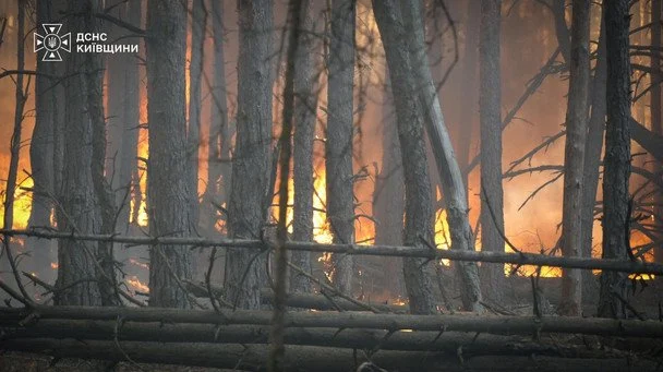 Пожежа під Києвом / © ДСНС