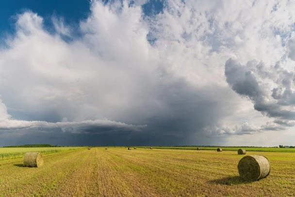 Яке православне свято в Україні 28 серпня 2 Народні прикмети 28 серпня / © pexels.com