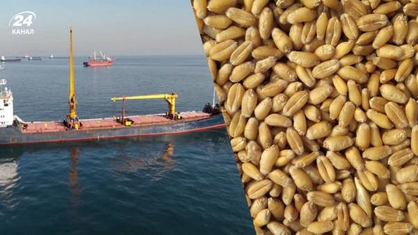 Російські атаки на український експорт: Кабмін запевнив аграріїв у підтримці 4