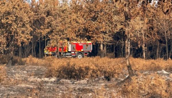 Українські пожежники вирушили до Франції для боротьби з великою лісовою пожежею 15 Українські пожежники вирушили до Франції для боротьби з великою лісовою пожежею 15