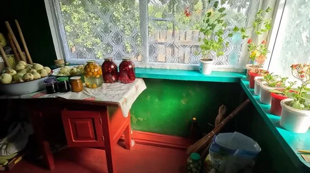 За 40 тисяч гривень — власна оселя та господарство: переселенці показали своє життя 4 / © скриншот з відео