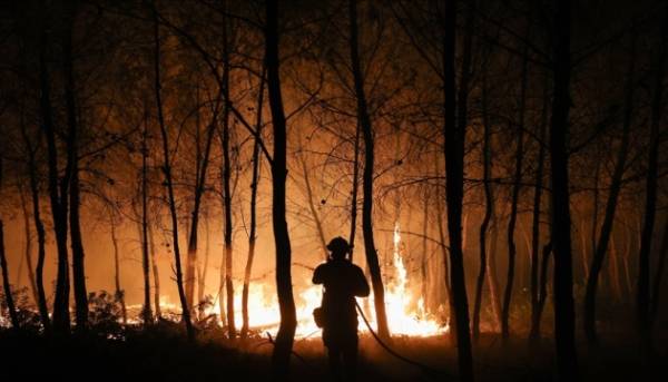 Українські пожежники завершили свою місію у Франції, де вони боролися з лісовими займаннями