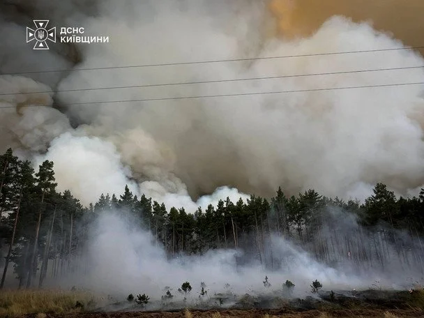 Пожежа під Києвом / © ДСНС