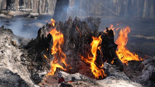 Пожежа під Києвом / © ДСНС