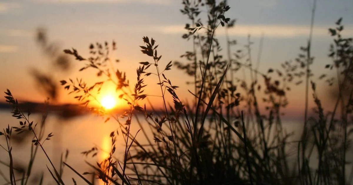 Який 24 серпня день ангела Який 24 серпня день ангела