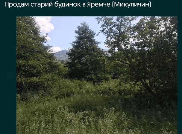 В Карпатах неподалік "Буковелю" пропонують до продажу будинок за 7200 доларів: як він виглядає (фото) 9 Будинок у Микуличині / © OLX