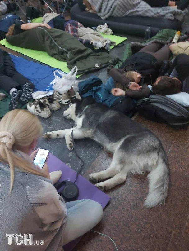 Схованки в київському метро: причини, чому пасажирів не пускають у потяги, та чи відкриють проходи в тунелях 6 У метро під час тривоги