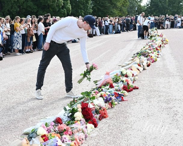 Король Норвегії пішов з життя: шведська королівська сім'я поділилася зворушливим дописом 12 У Норвегії оплакують короля Гаральда V / © Getty Images