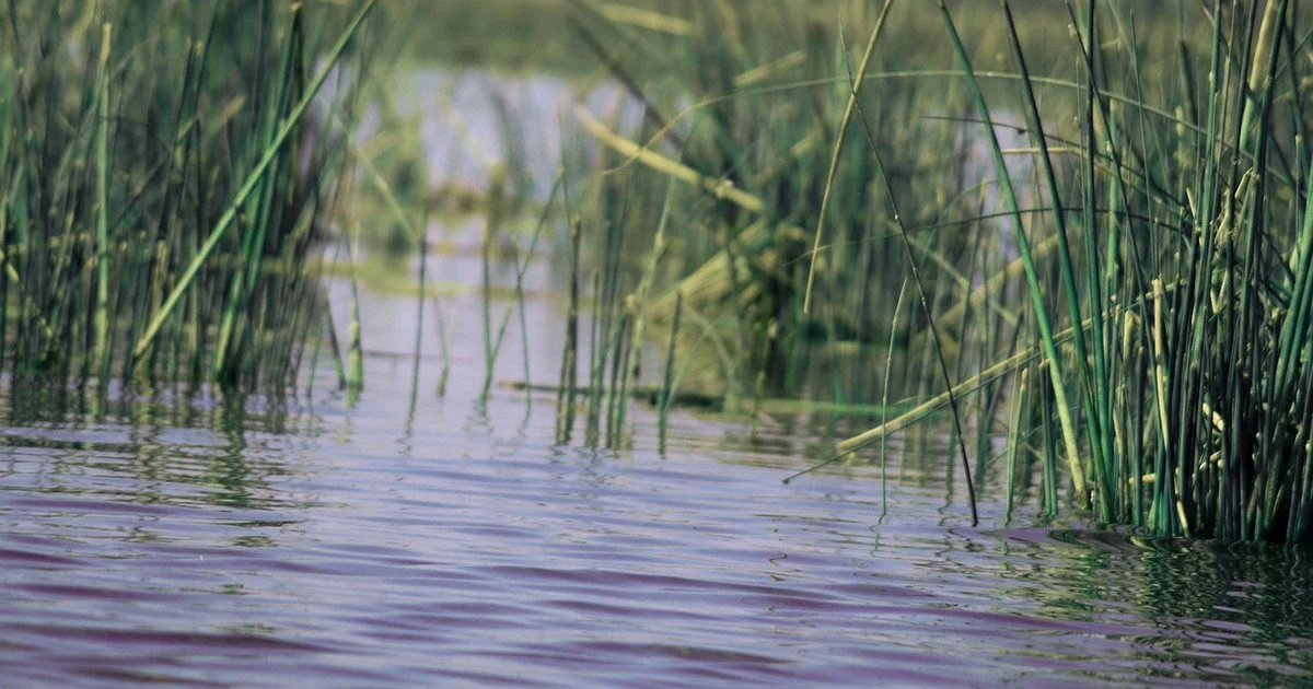 Водойма