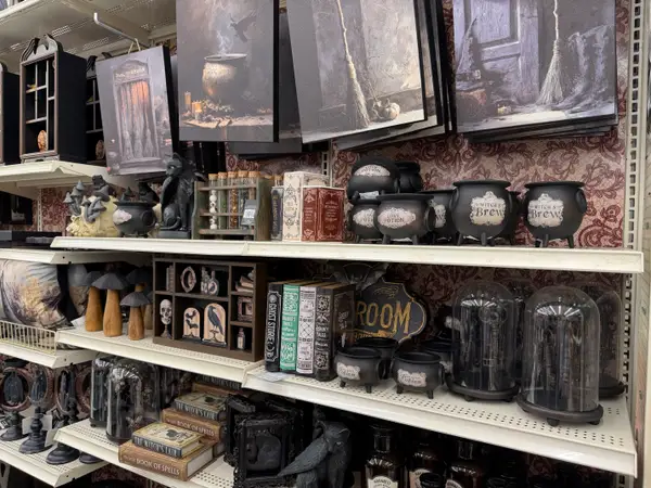 Порівняли осінній декор: Hobby Lobby проти Michaels 30 Відра, ворони, зілля та інший моторошний декор у Michaels