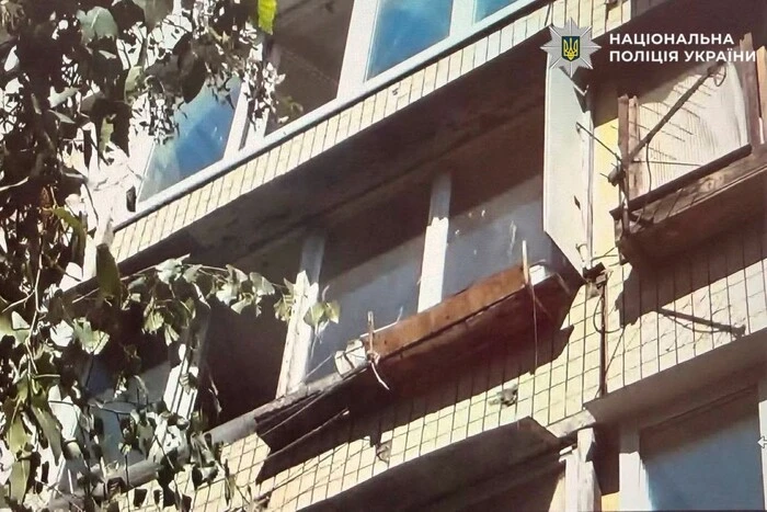 Киянка скинула собаку з четвертого поверху, врятувати тварину не вдалося 12