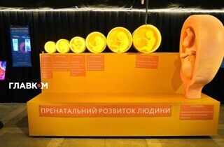 Тіло людини": масштабна інтерактивна виставка запрошує киян 49 Тіло людини": масштабна інтерактивна виставка запрошує киян 41