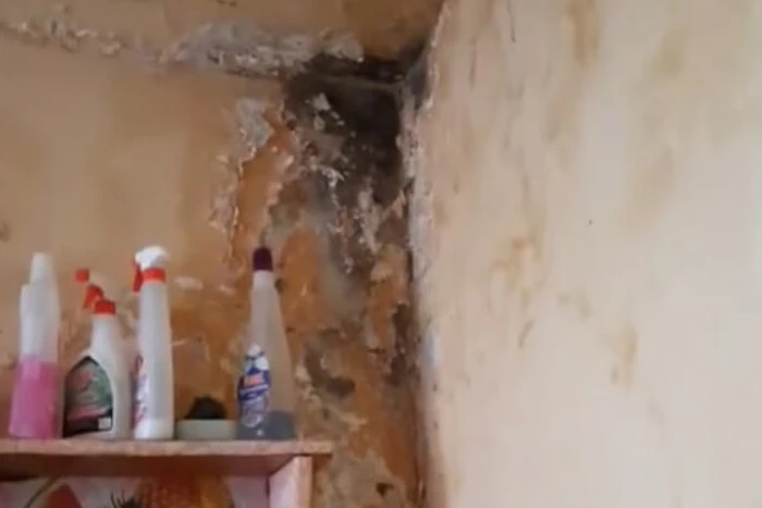 ПОРТАЛ новин 153 Студентка показала гуртожиток-лідера рейтингу: моторошні кадри