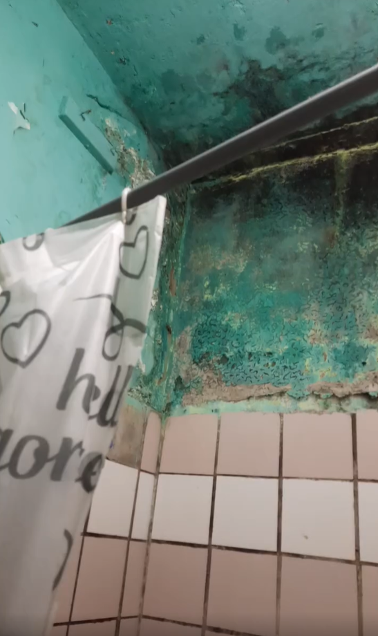 Студентка показала гуртожиток-лідера рейтингу: моторошні кадри 7 Стан ванної кімнати