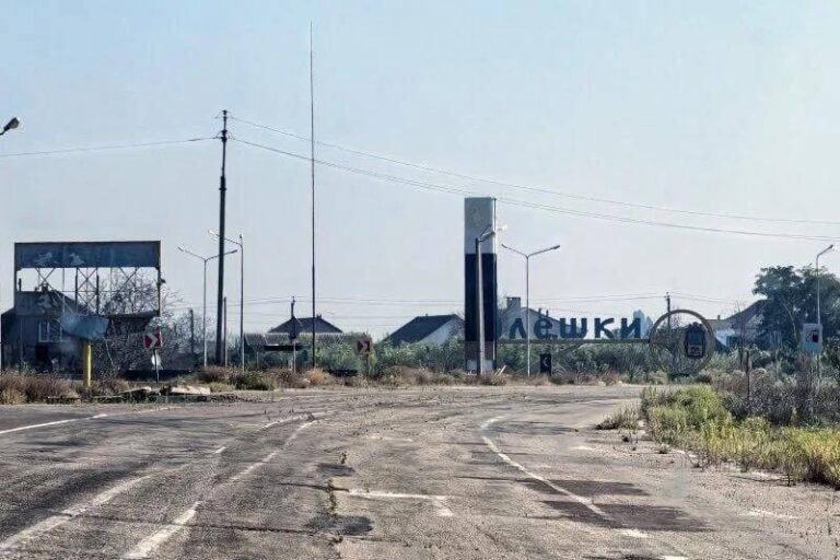 Олешки на межі гуманітарної кризи: бракує їжі та ліків, рятують городи й обмін 9
