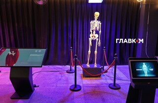 Тіло людини": масштабна інтерактивна виставка запрошує киян 57 Тіло людини": масштабна інтерактивна виставка запрошує киян 49