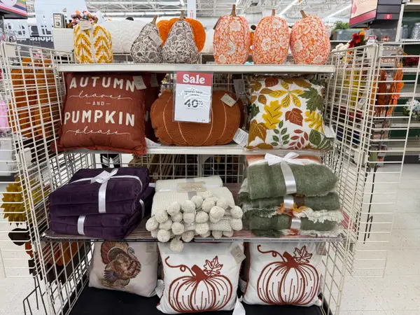 Порівняли осінній декор: Hobby Lobby проти Michaels 25 Осінні подушки, пледи в Michaels