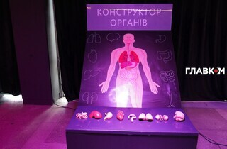 Тіло людини": масштабна інтерактивна виставка запрошує киян 45 Тіло людини": масштабна інтерактивна виставка запрошує киян 37